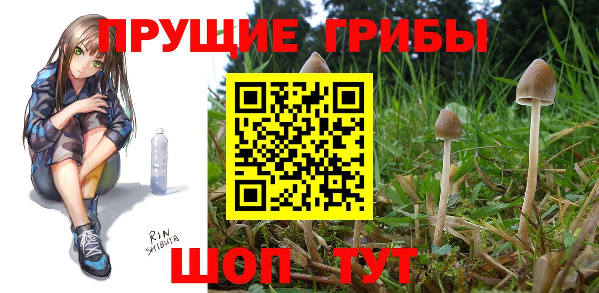 Псилоцибиновые грибы мухоморы Кушва