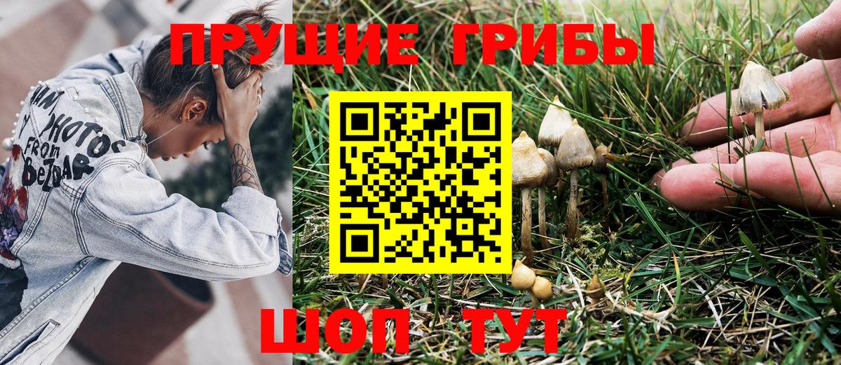 Псилоцибиновые грибы мухоморы  цена   Кушва  Вход с VPN 